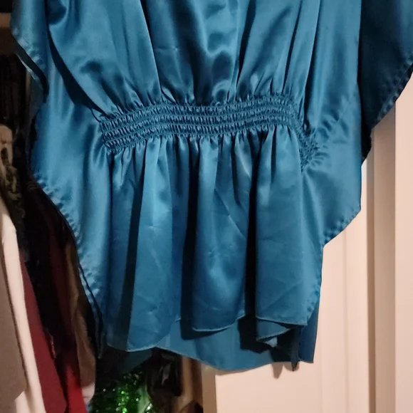 Blue Bwear Silk Embroidered Blouse - Picture 7 of 8